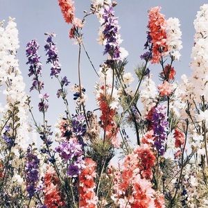 Meet your Posher, Mia